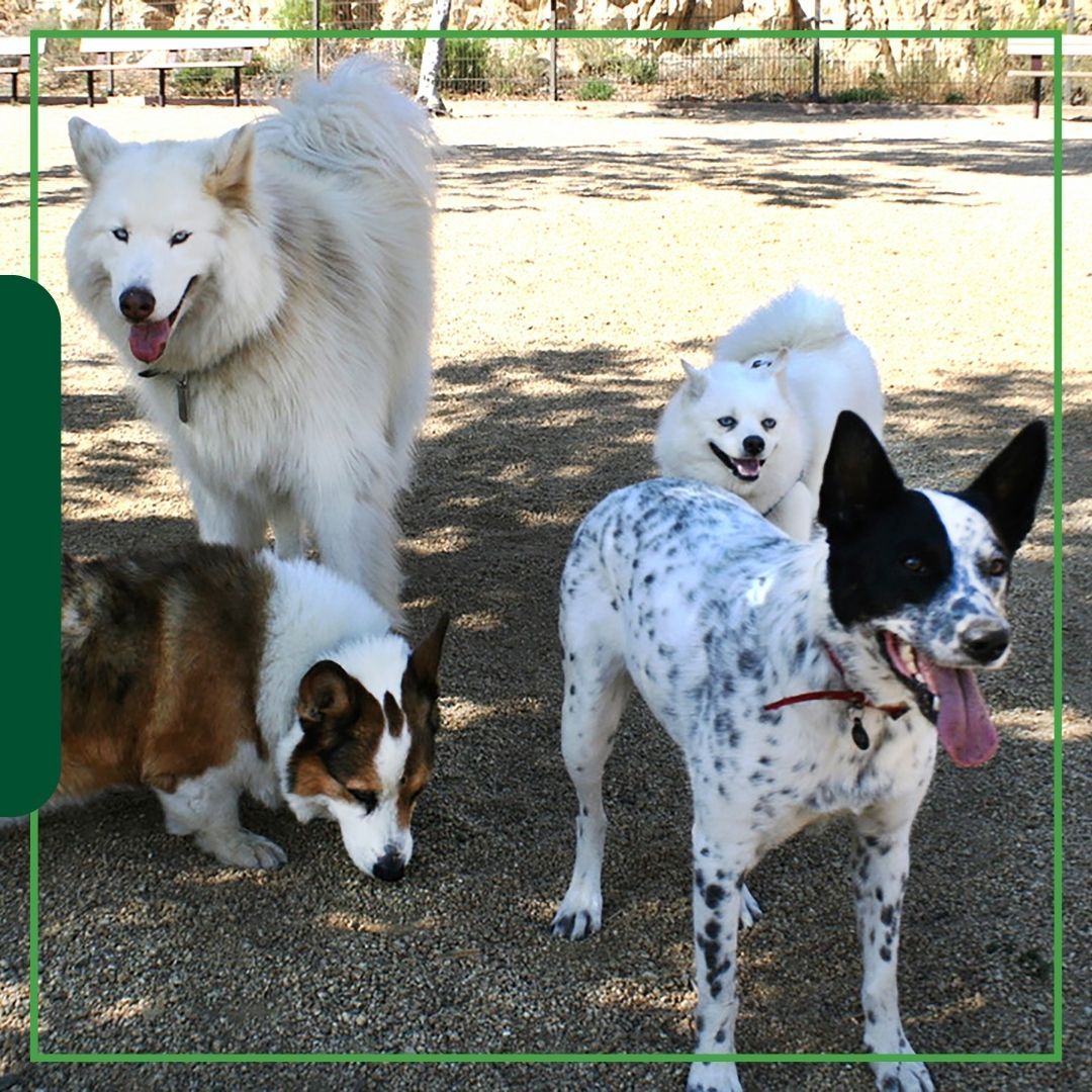 Traverse Green Apartments Luxury Living in St. Peter, Minnesota Traverse Green Apartments